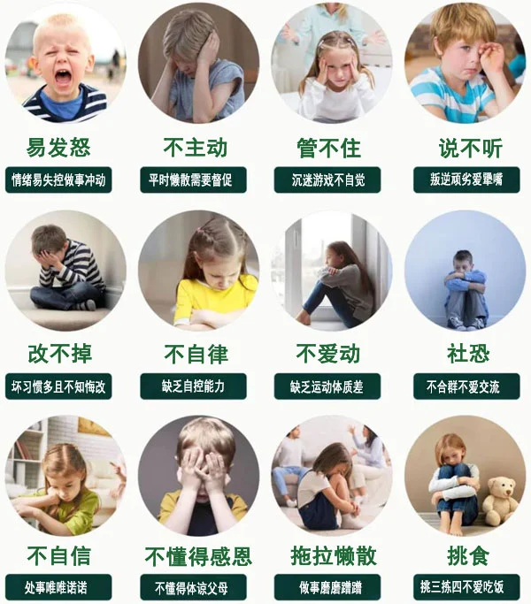 儿童篮球爱好者如何从小培养获奖能力_2